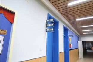學校食堂食品安全引關注，官方回應 涉事蔬菜霉變，校長被免職