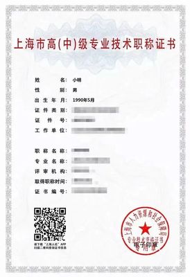 職稱證書丟了怎么辦？手把手教你申領上海電子證書